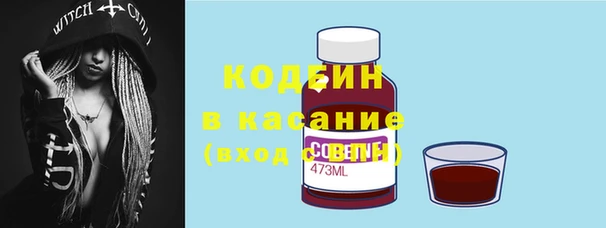 хмурый Алзамай