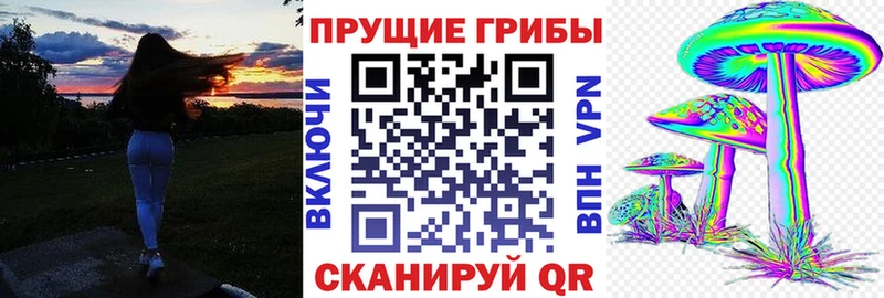 сколько стоит  Краснообск  Псилоцибиновые грибы прущие грибы 