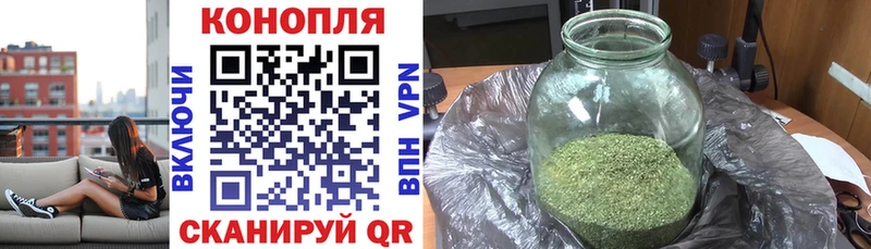Бошки марихуана Amnesia Краснообск